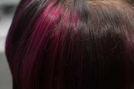 background of the hair with a pink streakの写真素材