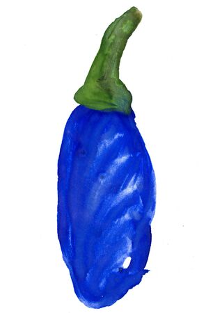 painted eggplantの写真素材
