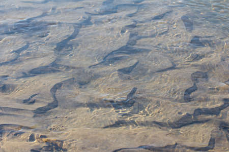 sand under water