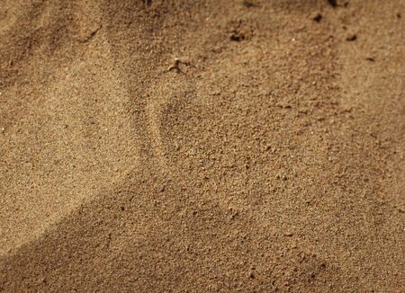 background of soil and sandの写真素材