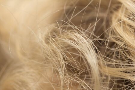 background Streaked Hairの写真素材