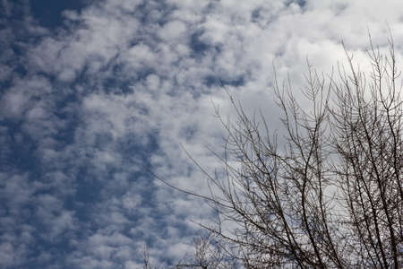 beautiful sky with clouds in the background