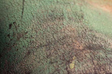 green background in grunge styleの写真素材