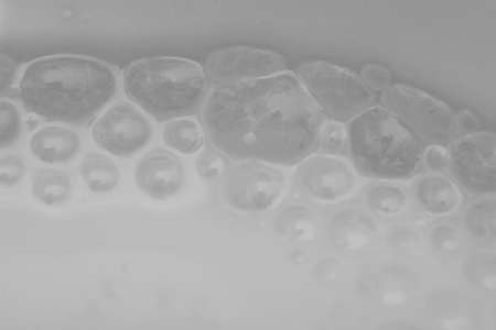 foam the milk in the background. macroの写真素材