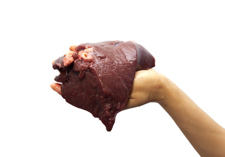 fresh liver in hand backgroundの写真素材
