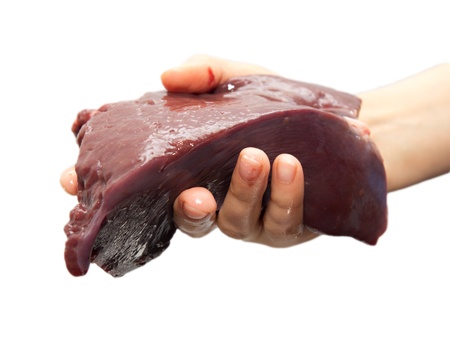 fresh liver in hand backgroundの写真素材