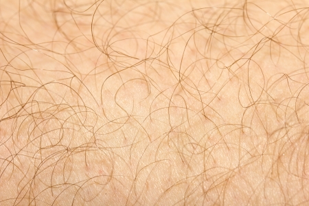 background of the hair on his leg. macroの写真素材