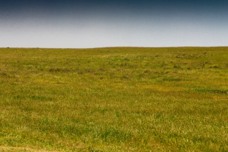 steppe in springの写真素材