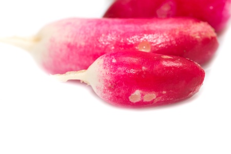radishes on a white backgroundの写真素材