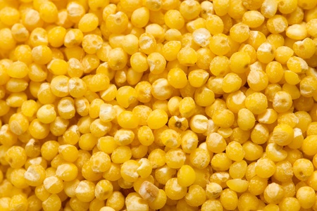 background of millet. macro