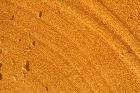 background of orange foamの写真素材