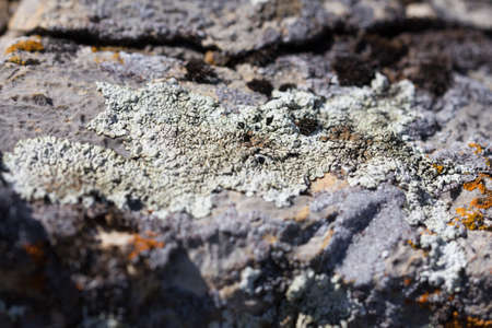 background of mountain stoneの写真素材