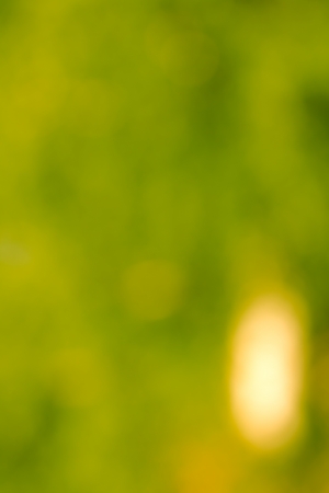 beautiful green bokeh as backgroundの写真素材