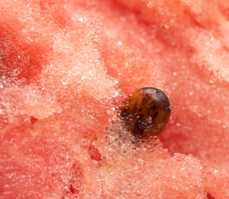 watermelon seeds. macroの写真素材