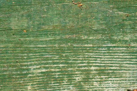 background of an old green wooden piecesの写真素材