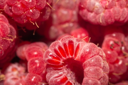 background of red raspberries. macroの写真素材