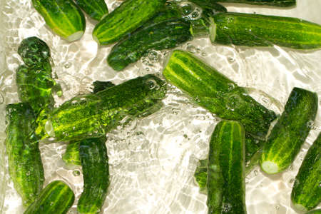 cucumbers in the water as a backgroundの写真素材