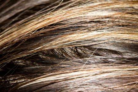 background Streaked hair. macroの写真素材