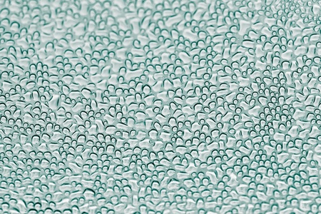 water drops on the glass. Macroの写真素材