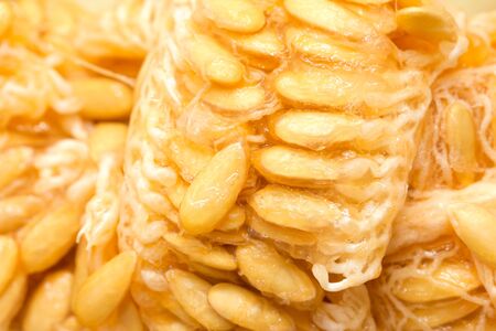 background of melon seed