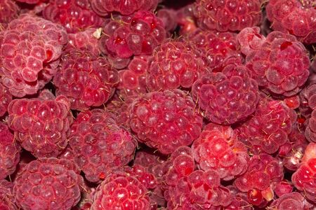 fresh ripe raspberry as a background