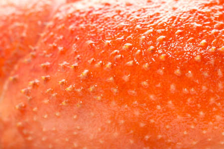 background of red armor cancer. macroの写真素材