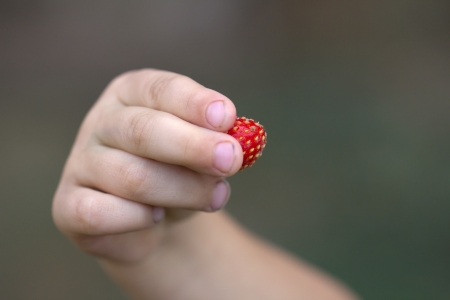 red strawberry in her handの写真素材