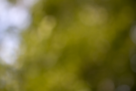 background of green bokeh