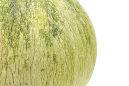 melon on a white の写真素材
