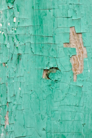 abstract background of old boards painted with green paintの写真素材