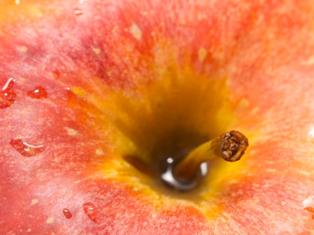 background of the apple. macroの写真素材