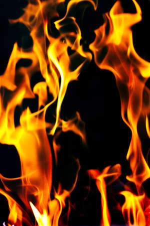 Fire flames on a black backgroundの写真素材