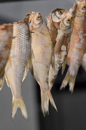 stockfishの写真素材
