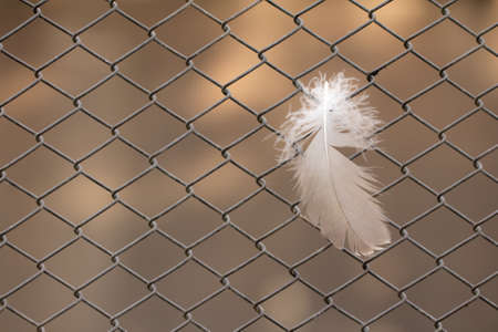 feather on a metal grid