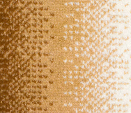 carpet as background