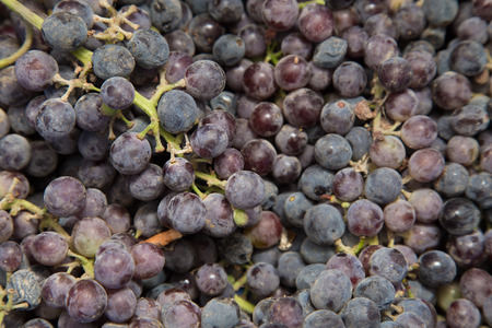 black grapes as background