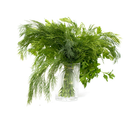 parsley and dill on a white background. macroの写真素材