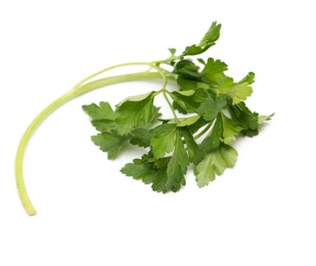 parsley on a white background. macroの写真素材