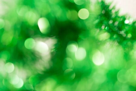 background of green holiday bokehの写真素材