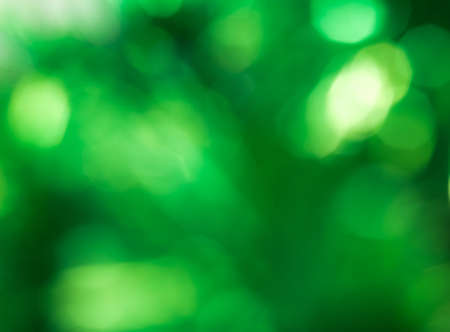 background of green holiday bokehの写真素材