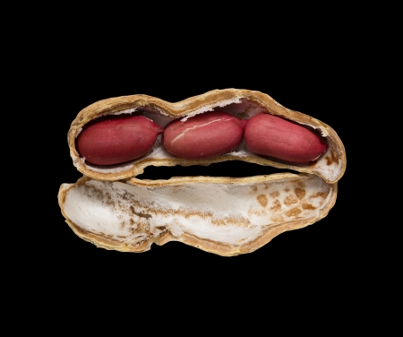 peanuts on black background. macroの写真素材