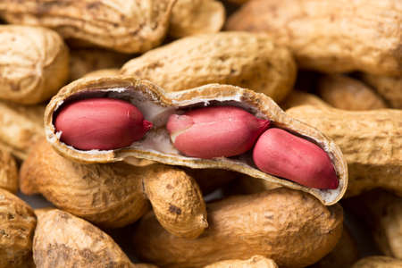 Background of peanuts. macroの写真素材
