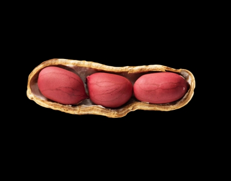 peanuts on black background. macro
