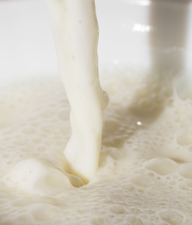 squirt milk as backgroundの写真素材