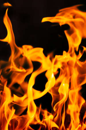 Fire flames on a black background