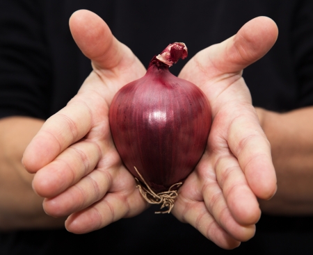 red onions in her handの写真素材