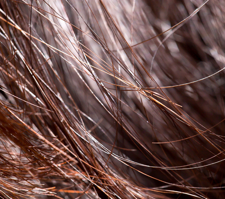background of hair. macroの写真素材