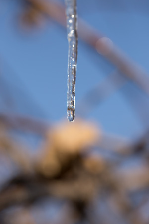 A drop of water is falling from an icicleの写真素材