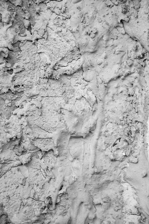 Background of the concrete wallの写真素材