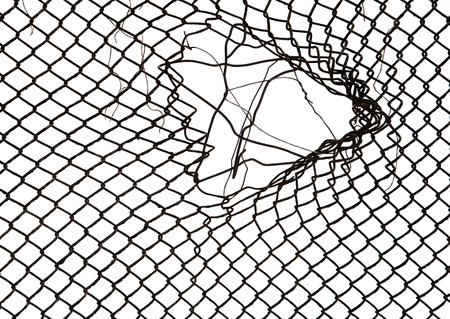 metal grid on a white backgroundの写真素材